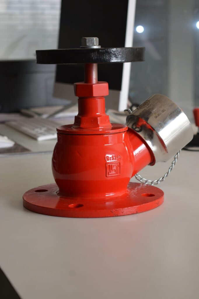 WhatsApp Image 2026-02-11 at 1.38.04 PM (3)